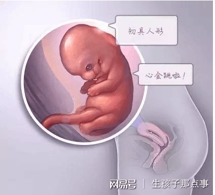 助孕借卵试管机构