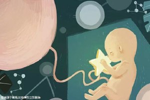 第三代试管婴儿